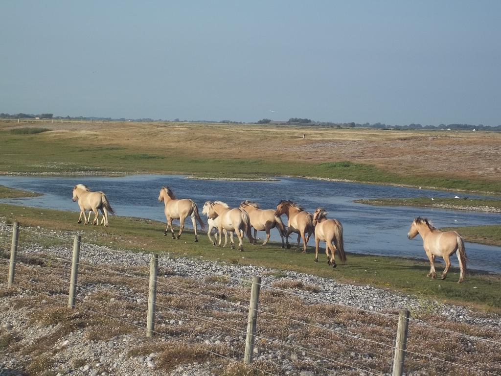 Camping Paradis Les Galets De La Molliere Cayeux-sur-Mer Bagian luar foto