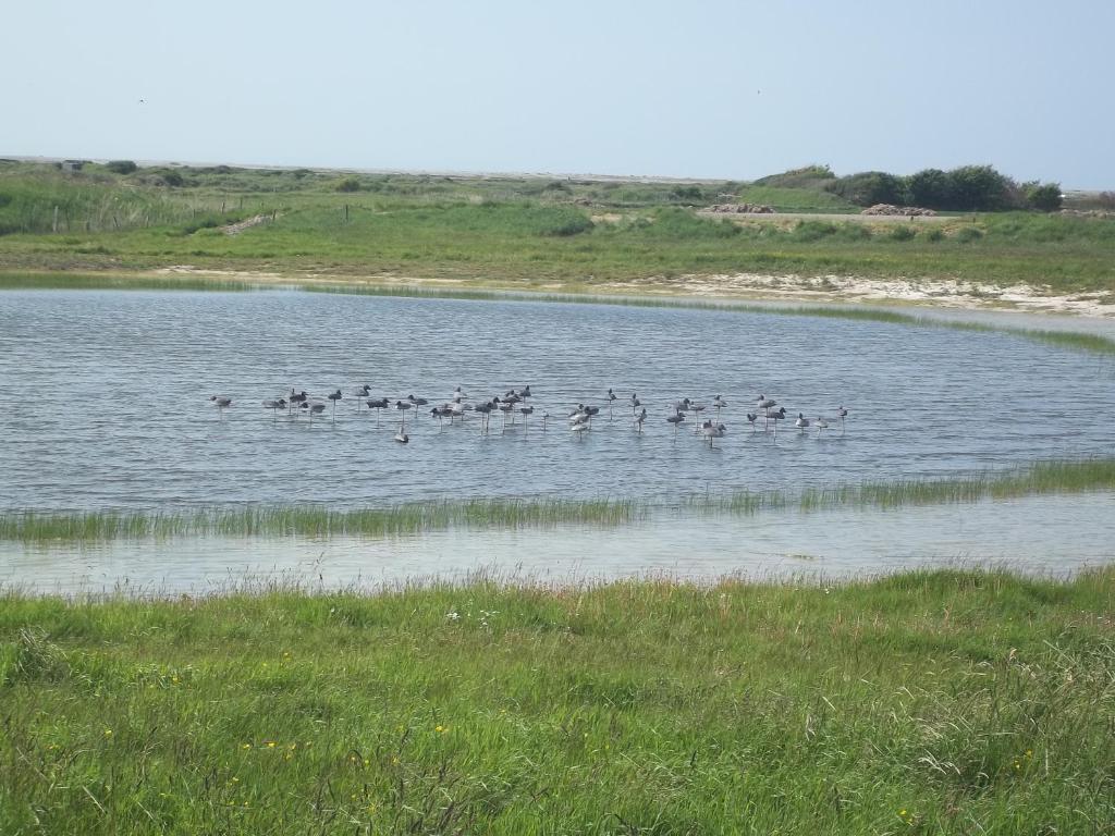 Camping Paradis Les Galets De La Molliere Cayeux-sur-Mer Bagian luar foto